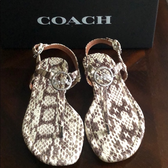 🌟COACH Thong Sandal🌟 - Picture 9 of 9